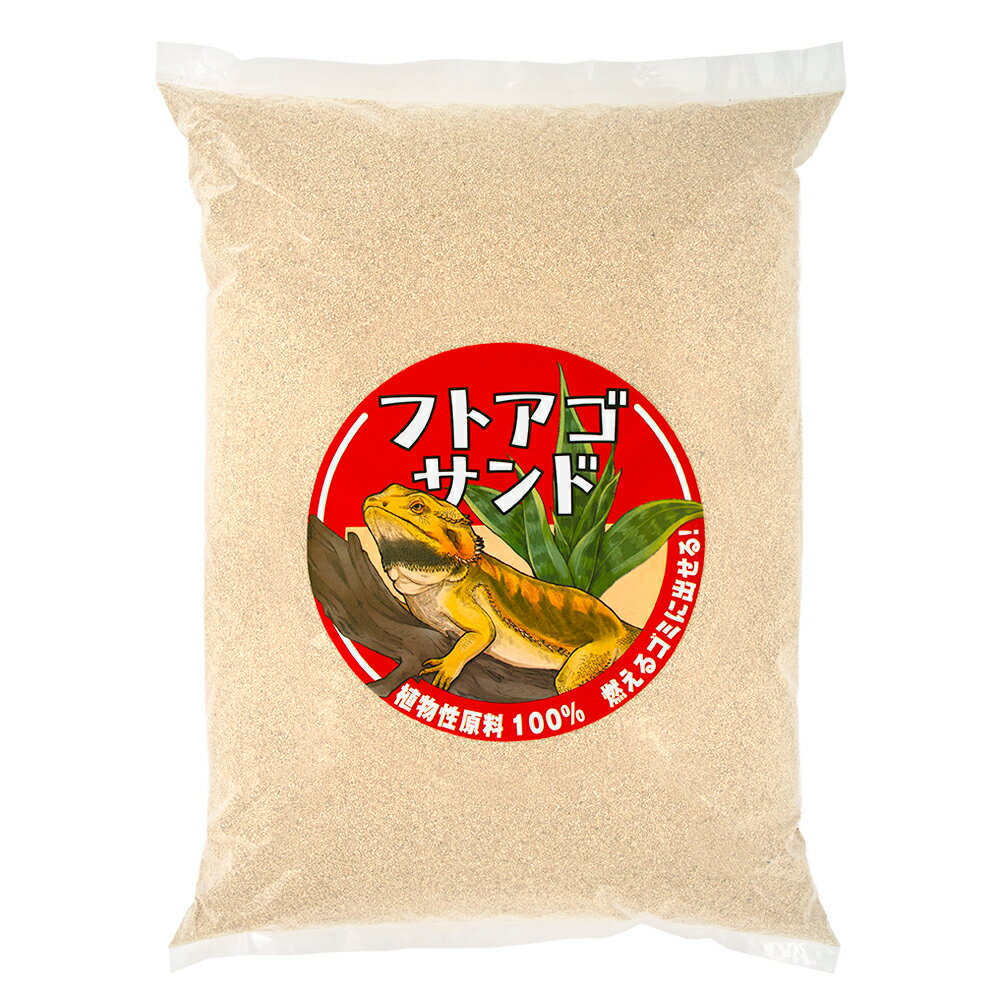 乐天商城 - フトアゴサンド　6L　関東当日便