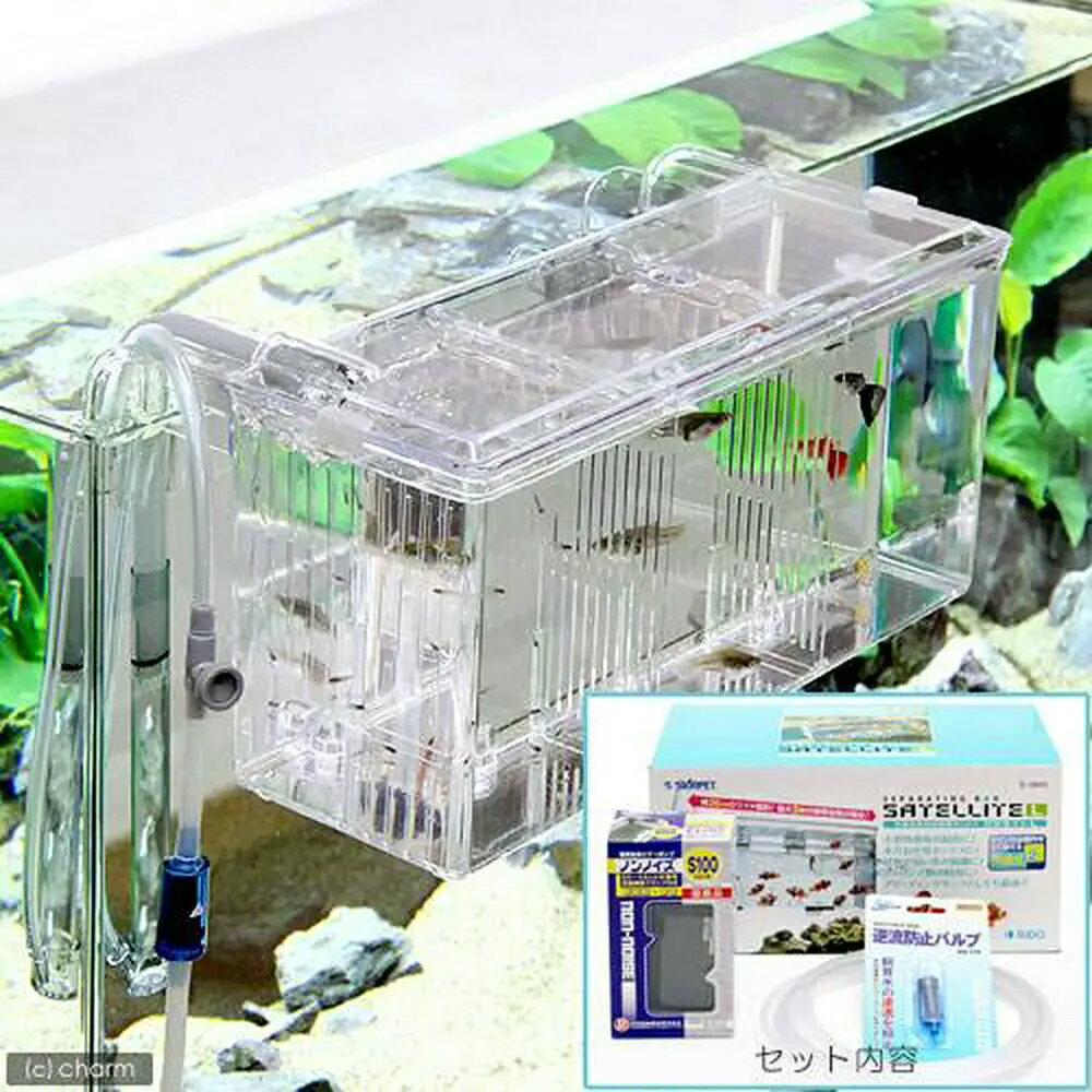 ���ݼ��������ܥå��������ƥ饤��L���������������åȡ�����������