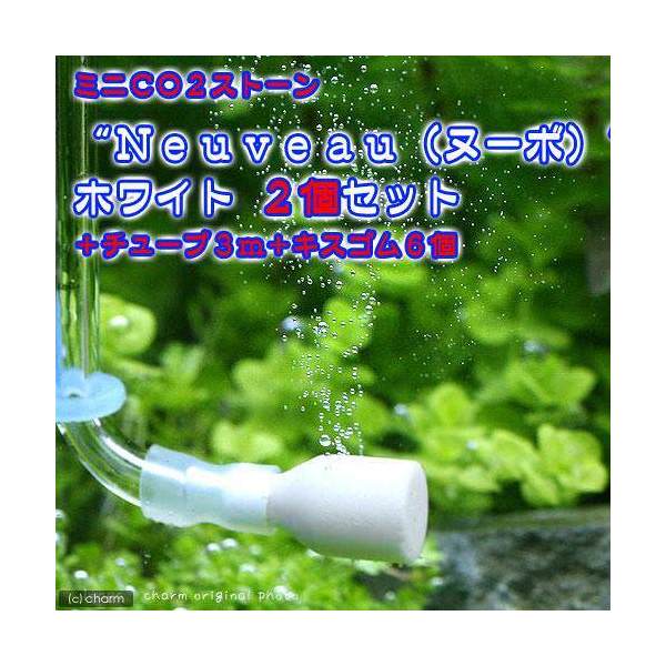 メーカー：(株)リーフ Leaf Corpキュートな水槽にぴったりのおしゃれアイテム！ミニCO2ストーン“Neuveau（ヌーボ）”ホワイト　2個セット（チューブ3m＋キスゴム6個付属）特長 ヌーボ（ヌーヴォー：Neuveau）とはフランス語で“新しい”という言葉を意味します。 本製品は色も形も斬新でまさにヌーボという名にふさわしいミニCO2ストーンです。 丸みを帯びた可愛らしい形状ですので、カワイイ小型水槽、おしゃれなインテリア水槽に大変マッチします。 水槽内を可愛く演出してみてはいかがですか？ ●可愛らしい形状がインテリア水槽にマッチ ●細かく質の良い泡が出ます。 ●エアチューブとキスゴムのおまけ付き セット内容・ミニCO2ストーン“Neuveau（ヌーボ）”ホワイト　×2 ・エアチューブ　ホワイト　3m　×1　※適当な長さに切ってお使いください。 ・キスゴム　φ18mm　クリアブルー　×6 ご使用方法 ●本製品を10分程水に沈めてからCO2システムのチューブに接続してください。 ●水槽の深い位置にキスゴムで固定してください。 サイズ（約）直径10×長さ20mm（穴径1．5mm） ご注意※市販の逆流防止弁を必ず併用してください。 ※必ずレギュレーターで減圧されたCO2に用いてください。 ※スプレー式等の低圧ガスシステムでは、ご使用になれませんのでご注意ください。 ※本製品はCO2専用ですのでエアポンプでの使用はできません。 ※本体のみでの販売となります。画像のL字ガラス管は付属品ではございませんので、予めご了承ください。 【CO2拡散器について】高圧ボンベを使用したCO2添加に使用する器具で、形状は様々ですが基本的な作りは目の細かい拡散面を通して、CO2を微細な粒子に替えて水中に放出します。泡が細かい方が拡散効率が良いですが、コケや汚れが付着したり、拡散器のサイズに比べて添加量が多い場合、泡が大きくなり拡散効率が落ちるので、定期的に洗浄を行ったり、適切なサイズを選択する必要があります。拡散の効率で言えば、ミキサーが優れ、メンテナンスの手間も掛かりませんが、気泡が光を反射しながら拡散器から上がる姿は美しく、またデザイン的にも優れたものも多い為、安定した人気を持ちます。Leaf　CO2　ボンベ　74g　5本セット　炭酸ボンベ　汎用品　新瓶　水草育成　水草　水草水槽アズー　2in1　CO2バブルカウンターお一人様3点限り　Leaf　CO2　ボンベ　74g　1本　炭酸ボンベ　汎用品　新瓶　二酸化炭素　水草育成　水草　水草水槽Leaf　CO2　ボンベ　74g　10本セット　Q10サポートエレメンツ30mL付き　水草育成　水草　水草水槽　炭酸ボンベ　汎用品　新瓶クリスタルジョイント　L型・小（2cm×2cm　外径6mm）　1個　6mmエアーチューブ用クリスタルジョイント　JL型（220mm　外径6mm）　1個　6mmエアーチューブ用 … アクアリウム用品　アクア用品　CO2機器　拡散器／ミキサー　Leaf　Corp　ミニCO2ストーン　Neuveau　ヌーボ　ホワイト　砥石　CO2　ストーン　器具　20120122　TN　ny130101　ws0101_ministone　kkgtck-2　pus2402leaf01　pus2405leaf01・《セット用》無印キスゴム　直径18　クリアブルー　1ケ スドー　アクアリウム　エアーチューブ　ソフト　（ホワイト）　3mCO2拡散器　ミニCO2ストーン　Neuveau（ヌーボ）　ホワイト構成する商品内容は在庫状況により予告無く変更になる場合がございます。予めご了承下さい。■この商品をお買い上げのお客様は、下記商品もお買い上げです。※この商品には付属しません。■Leaf　CO2　ボンベ　74g　5本セット　炭酸ボンベ　汎用品　新瓶　水草育成　水草　水草水槽アズー　2in1　CO2バブルカウンターお一人様3点限り　Leaf　CO2　ボンベ　74g　1本　炭酸ボンベ　汎用品　新瓶　二酸化炭素　水草育成　水草　水草水槽Leaf　CO2　ボンベ　74g　10本セット　Q10サポートエレメンツ30mL付き　水草育成　水草　水草水槽　炭酸ボンベ　汎用品　新瓶クリスタルジョイント　L型・小（2cm×2cm　外径6mm）　1個　6mmエアーチューブ用クリスタルジョイント　JL型（220mm　外径6mm）　1個　6mmエアーチューブ用