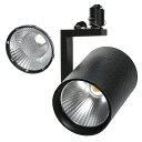 HADES LED 45W 3500K ブラック 植物育成用ライト ダクトレール 観葉植物 関東当日便