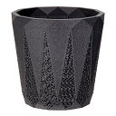 多肉植物 Gyropot 金剛(こんごう) 3号鉢 ジャイロポット 植木鉢 鉢 観葉植物 関東当日便