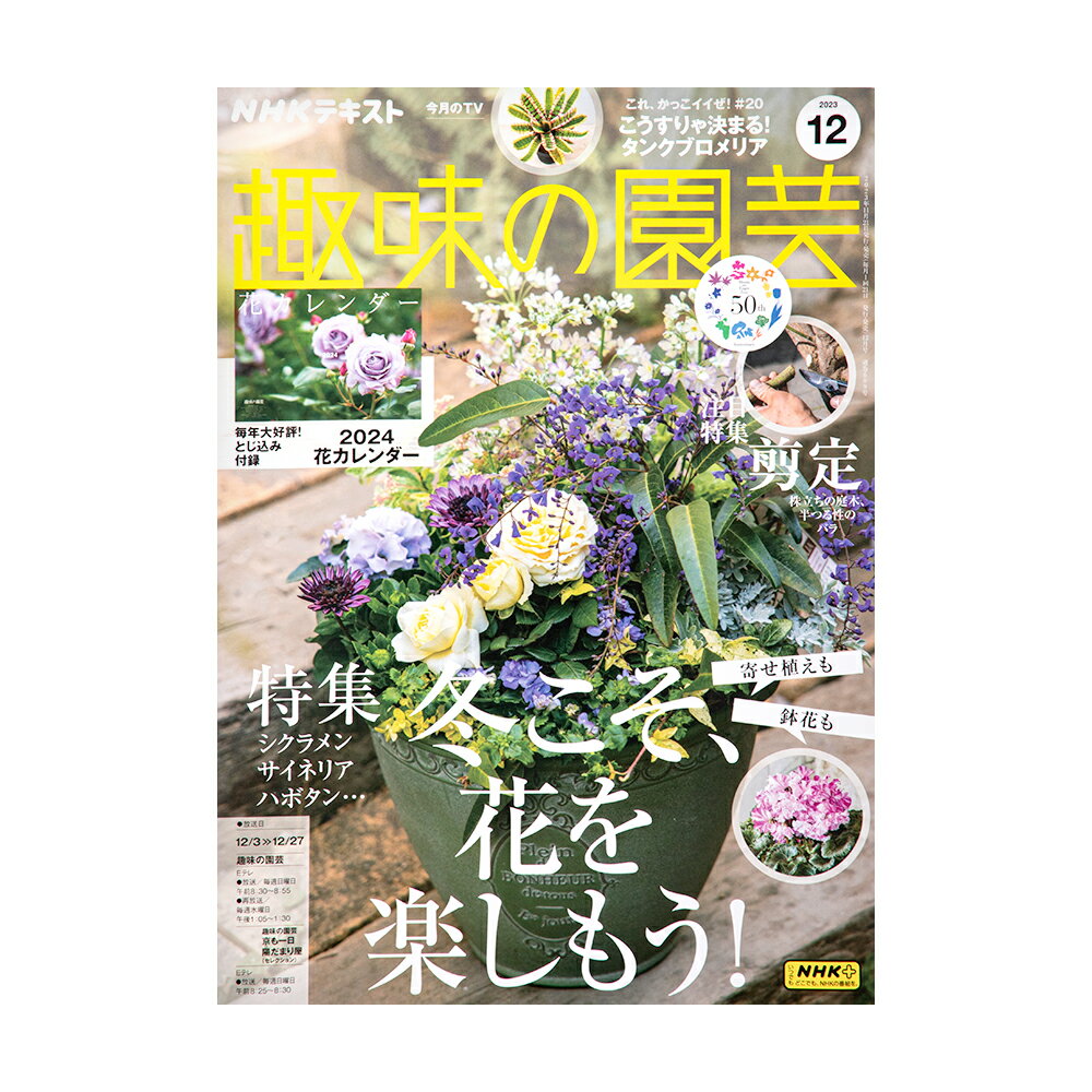 アウトレット品 NHK趣味の園芸 2023年12月号 特集 冬こそ、花を楽しもう！ シクラメン サイネリア ハボタン 訳あり 関東当日便