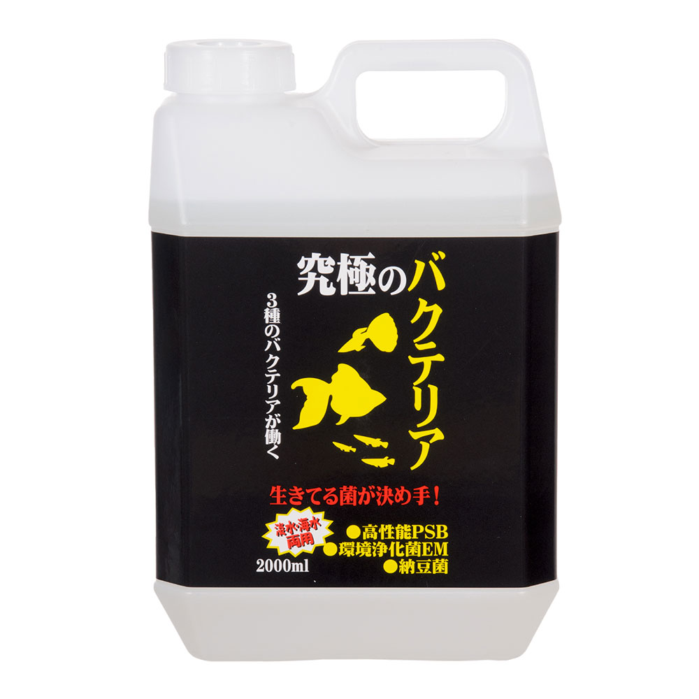 B－blast　究極のバクテリア　2000ml　関東当日便