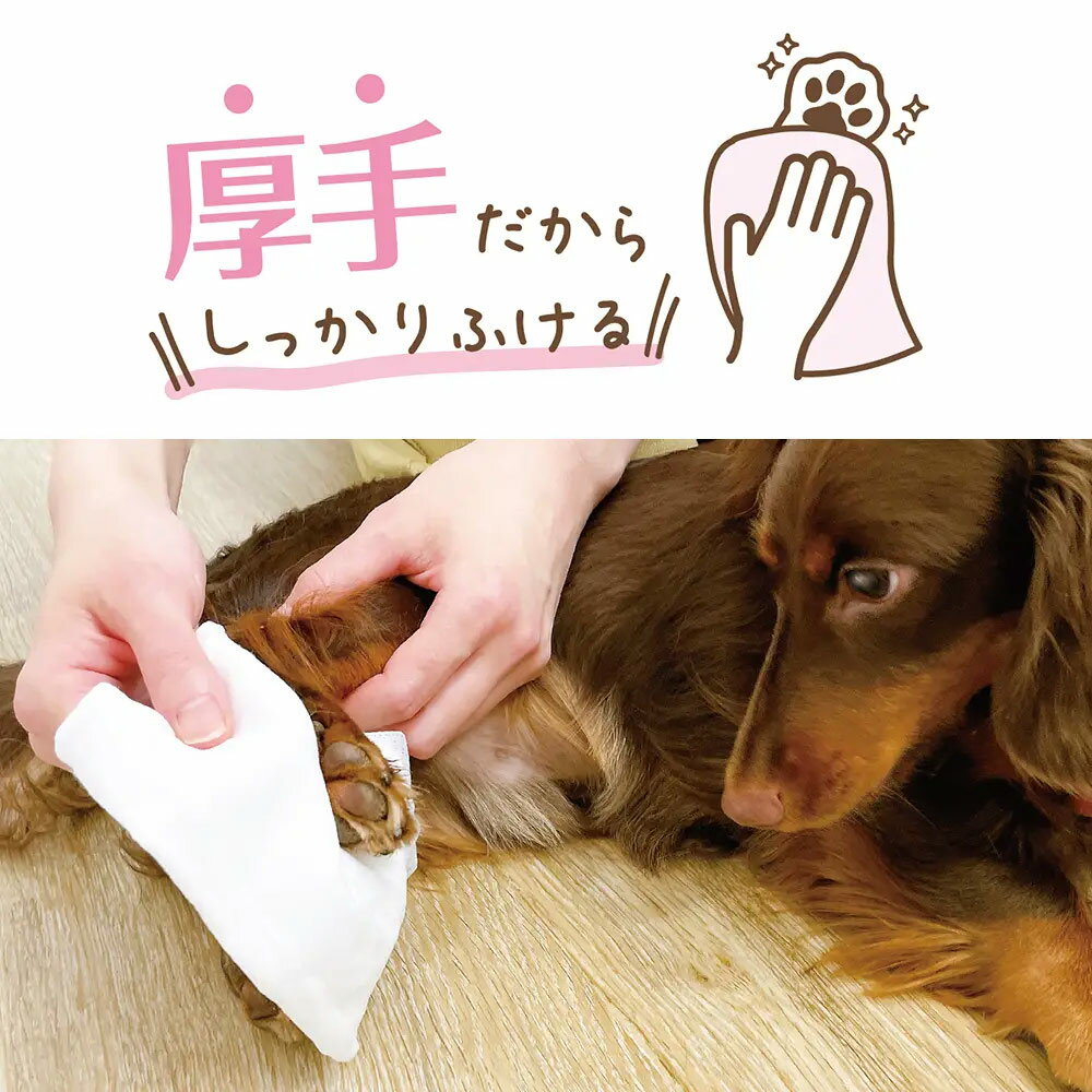 �ɥ����ޥ󡡥ڥå����ѥ����åȥƥ��å��塡�ݼ���ʬ�ץ饹��3���ѥå���8������������