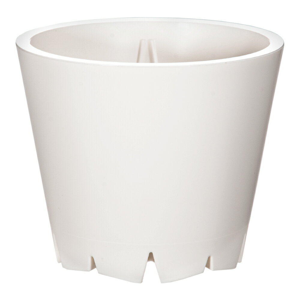 ����å�ȭ��SCOOP���ۥ磻�ȡ�S���������ס�����ȭ������������