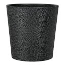 多肉植物 Gyropot 阿智(あち) 5号鉢 ジャイロポット 植木鉢 鉢 観葉植物 関東当日便
