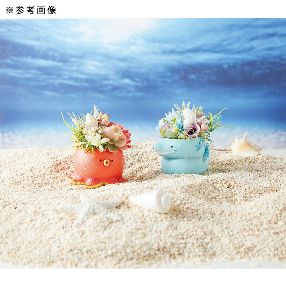 ȭ����ȥ�쥸��ݥåȡ�������1��ݥå��ѡ�ȭ���С�������������