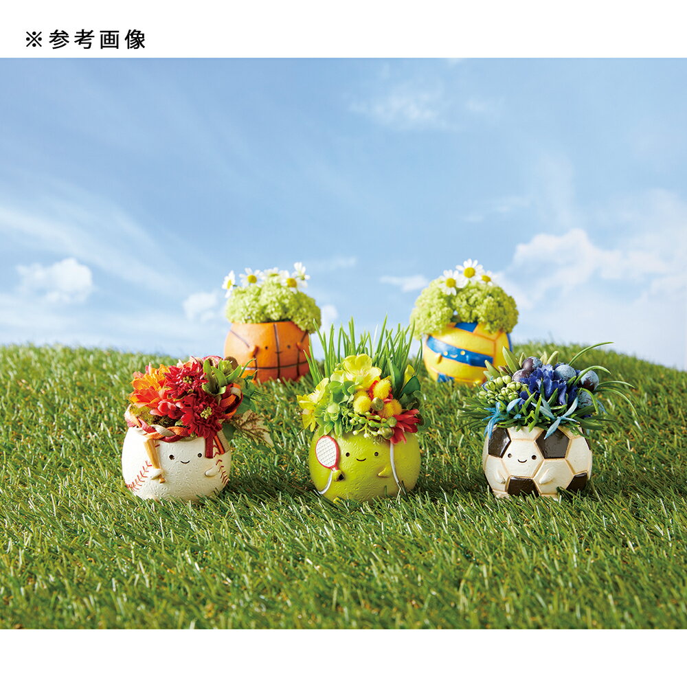 ȭ����ȥ�쥸��ݥåȡ��ƥ˥��ܡ��롡1��ݥå��ѡ�ȭ���С�������������