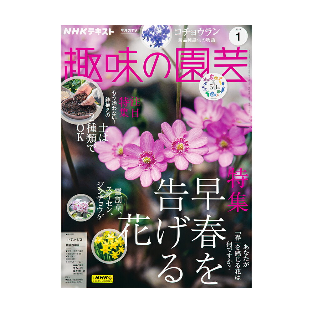 アウトレット品 NHK趣味の園芸 2024年1月号 特集 早春を告げる花 雪割草 スイセン ジンチョウゲ 訳あり 関東当日便