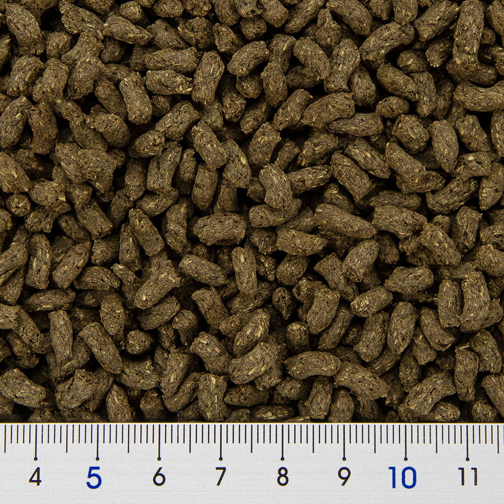 ニチドウ　メディラビット　シニア　ハニープラス　500g　うさぎ　関東当日便 chanet3980-10046123 charm 3980 楽天市場店 サンプル画像2