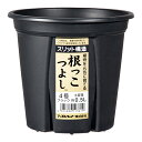 スリット鉢 アップルウェアー 根っこつよし 4号 ブラック 植木鉢 黒 関東当日便