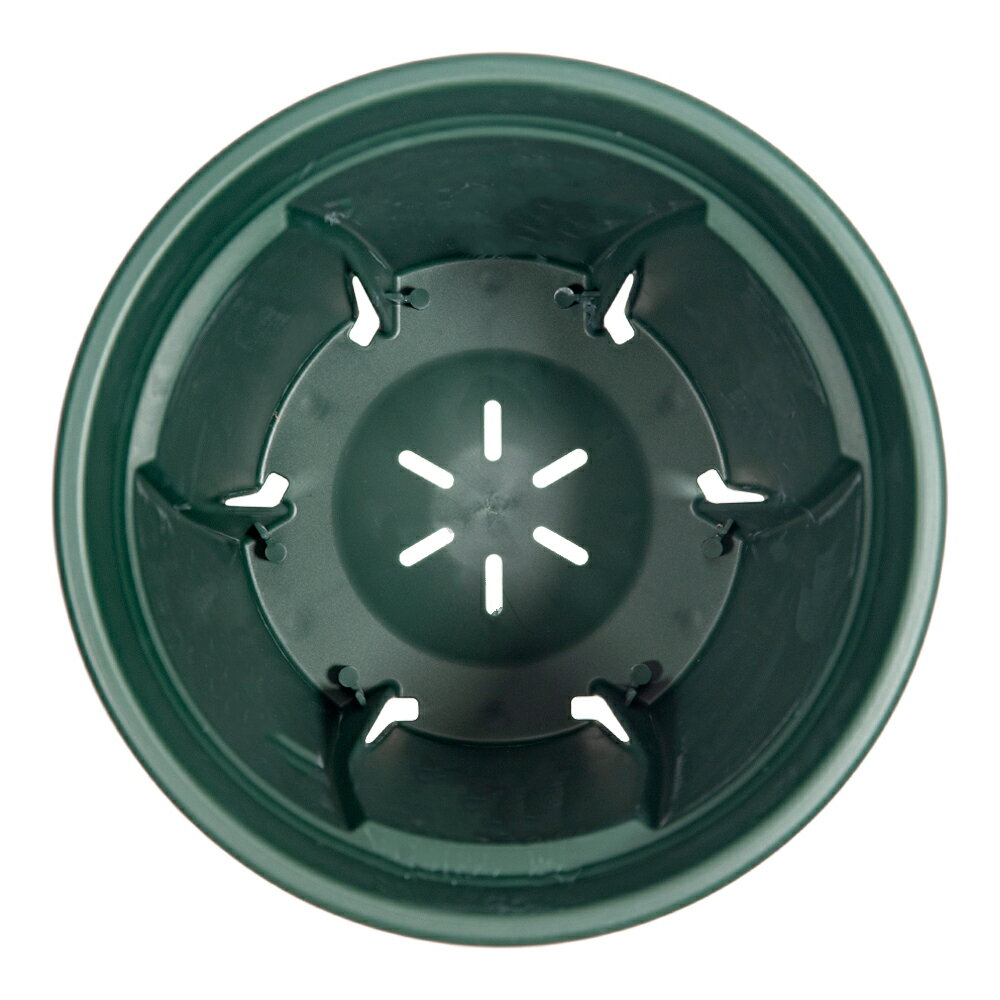 スリット鉢　アップルウェアー　根っこつよし　5号　グリーン　植木鉢　緑　関東当日便