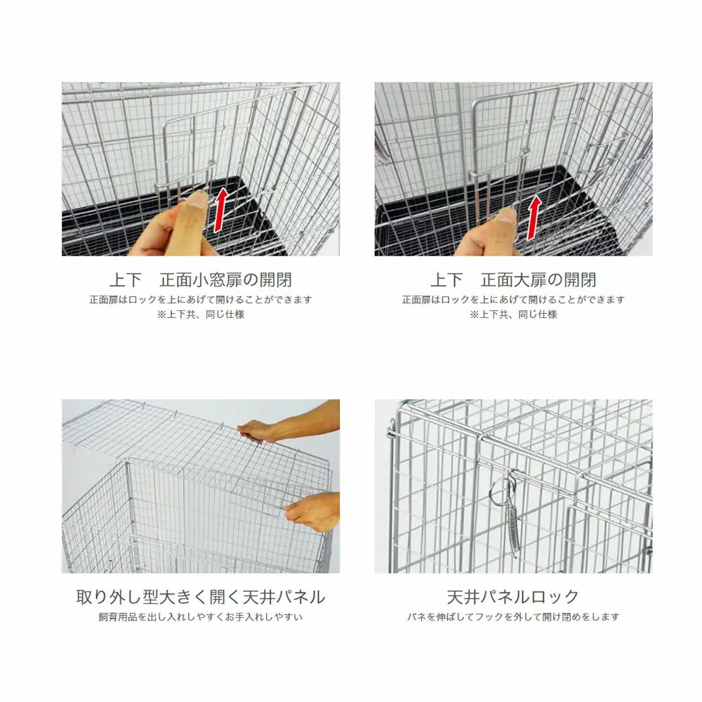 �������񡡤Ϥ���ƤΥ��������饻�åȡ������������դ������������󤷡�������㡡����������