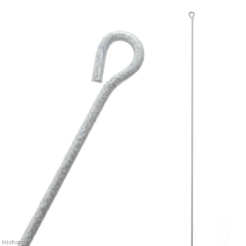 GEX����ӥåȥ������롡H65��������ӥ��ѡʥۥ磻�ȡˡ�Ϣ������2�ܡ�����������