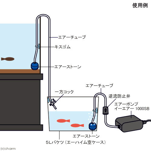 ���碌DX���åȡ��ͥå��դ�������������ޤ��Х����դ��ˡ��������2���¤ꡡ����������