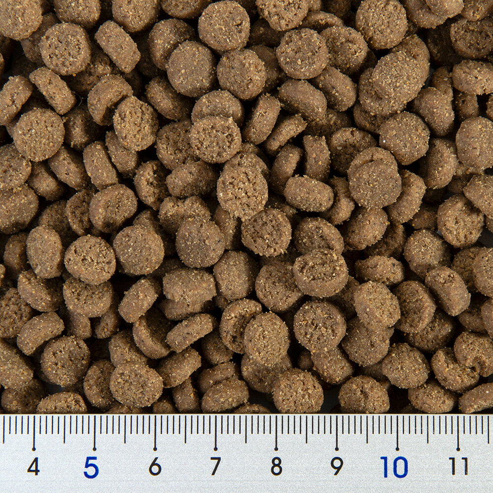 �������񡡥��������ۡ��ࡦ����80��BK��81��50��5��55cm�ˡܥե���åȥա��ɡ�����ѥ�ե���ߥ��ࡡ1��5kg������������