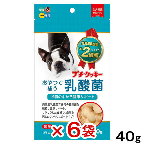 ハイペット　プチ・クッキー　乳酸菌　40g×6袋　関東当日便