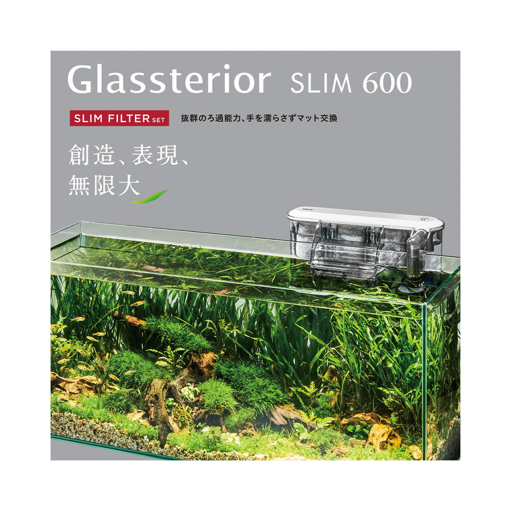 GEX�����饹���塡���饹�ƥꥢ600����ࡡ�����ե��륿�����åȡ�60��20��25cm��60cm���塡����������