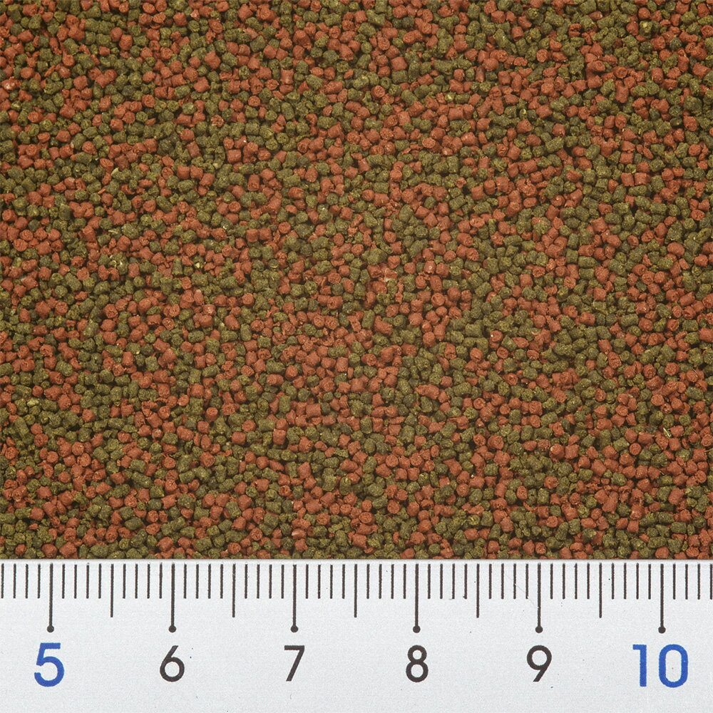 �ϥ������ե��å���ա��ɡ��١����ߥ˥����125g������Ǯ�ӵ��δ��ܿ���Ǯ�ӵ��������������¡�����������