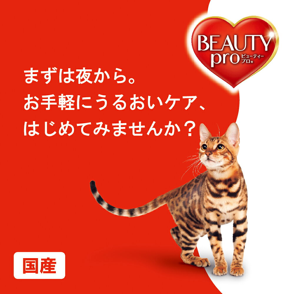 キャットフード　ビューティープロ　キャット　パウチ　介護期用高栄養食　30g　関東当日便