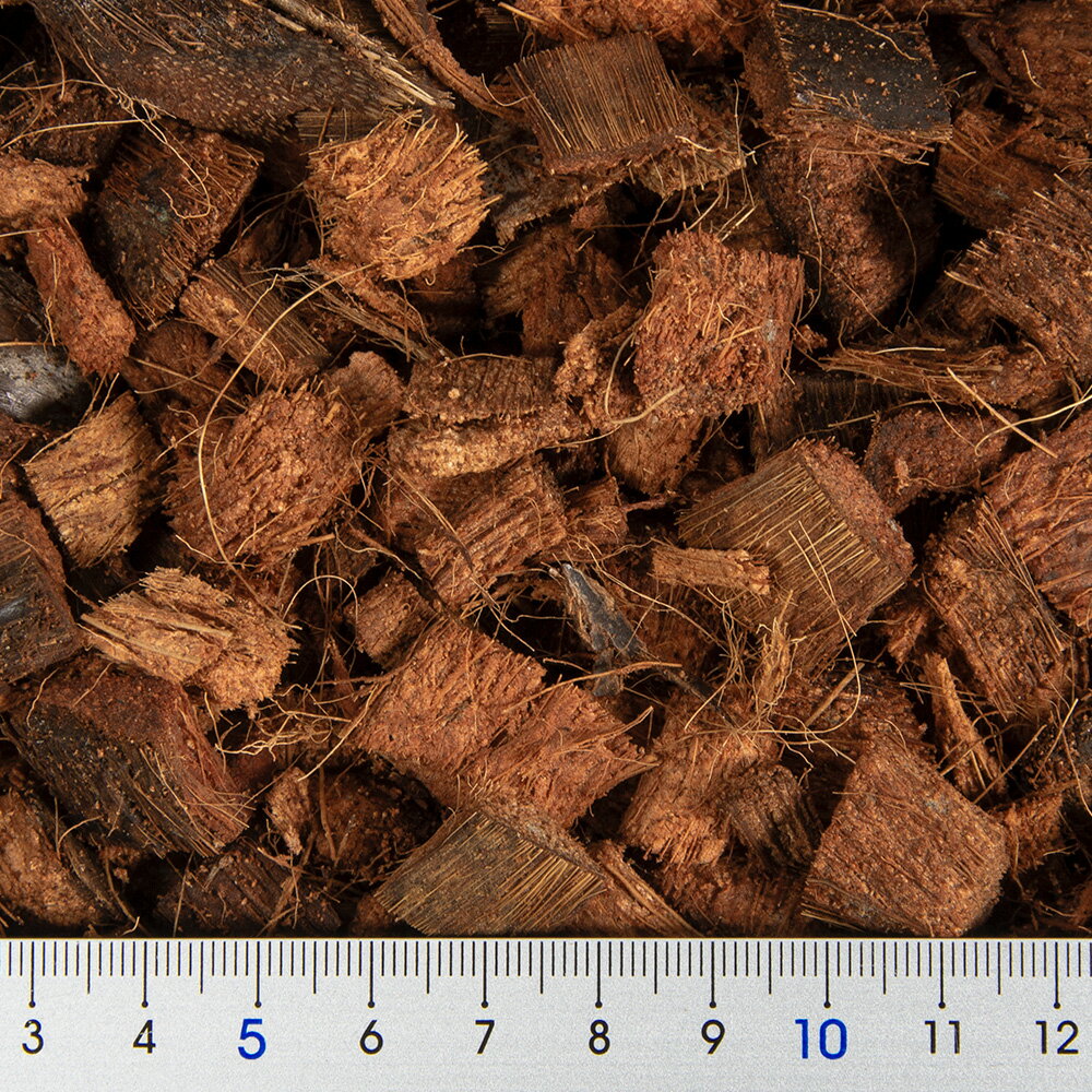 THE���䥷������åס�10L������������