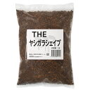 THE ヤシガラシェイブ 2L 関東当日便