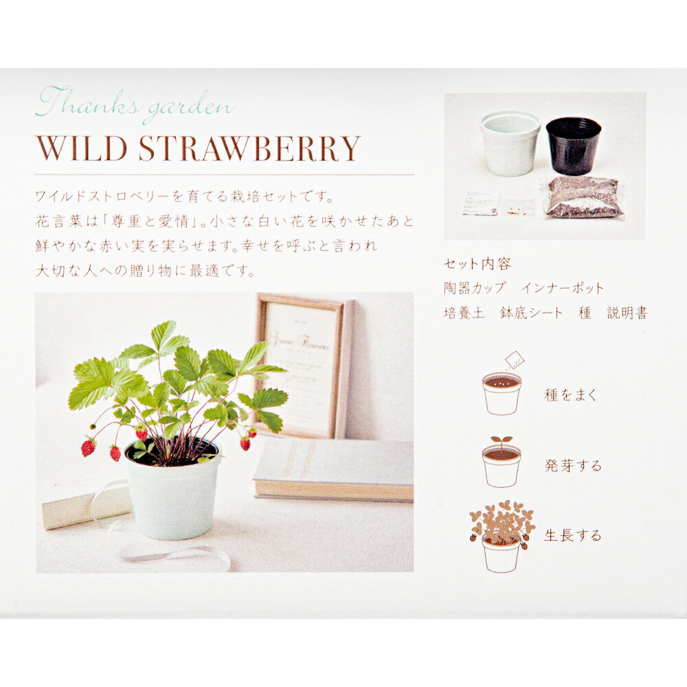 ����ƫ�ݡ�Thanks��GARDEN���磻��ɥ��ȥ��٥꡼�����ݥ��åȡ������ڱࡡ���եȡ�����������