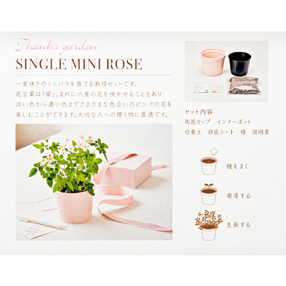 ����ƫ�ݡ�Thanks��GARDEN���ߥ˥Х顡���ݥ��åȡ������ڱࡡ���եȡ�����������