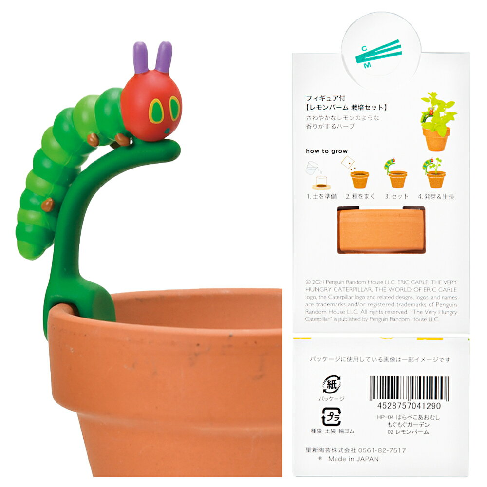 ����ƫ�ݡ��Ϥ�ڤ������ष���⤰�⤰�����ǥ���ݥ��åȡ�����С��ࡡ�����ڱࡡ���եȡ�����������