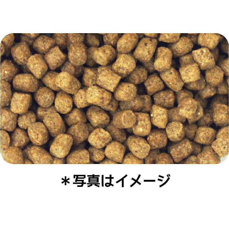 ドッグフード　イースター　ウェルケア　チワワ専用　アダルト〜シニア　1．35kg（450g×3）　関東当日便 chanet3980-10066314 charm 3980 楽天市場店 サンプル画像2
