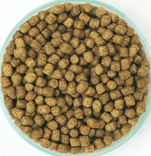 ドッグフード　イースター　ウェルケア　ミニチュア・ダックスフンド専用　アダルト〜シニア　1．35kg（450g×3）　関東当日便 chanet3980-10066311 charm 3980 楽天市場店 サンプル画像2