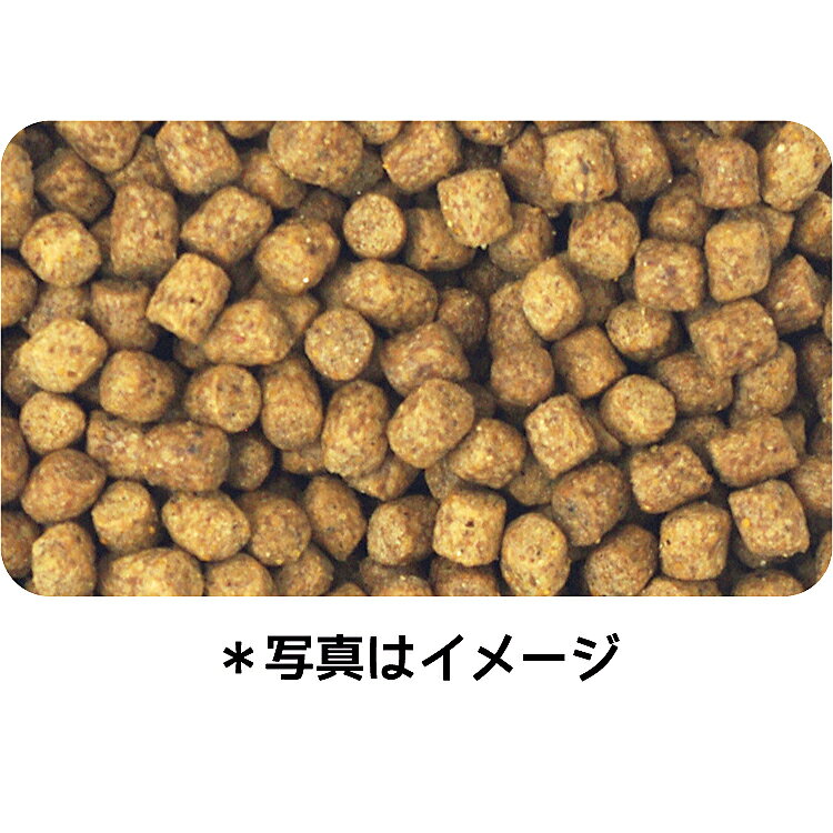 ドッグフード　イースター　ウェルケア　ミニチュア・ダックスフンド専用　アダルト〜シニア　1．35kg（450g×3）　関東当日便 chanet3980-10066311 charm 3980 楽天市場店 サンプル画像3