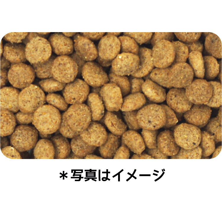 ドッグフード　イースター　ウェルケア　ミニチュア・シュナウザー専用　アダルト〜シニア　2．7kg（900g×3）　関東当日便 chanet3980-10066318 charm 3980 楽天市場店 サンプル画像2