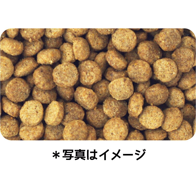 ドッグフード　イースター　ウェルケア　柴専用　アダルト〜シニア　5．5kg　関東当日便 chanet3980-10066323 charm 3980 楽天市場店 サンプル画像2