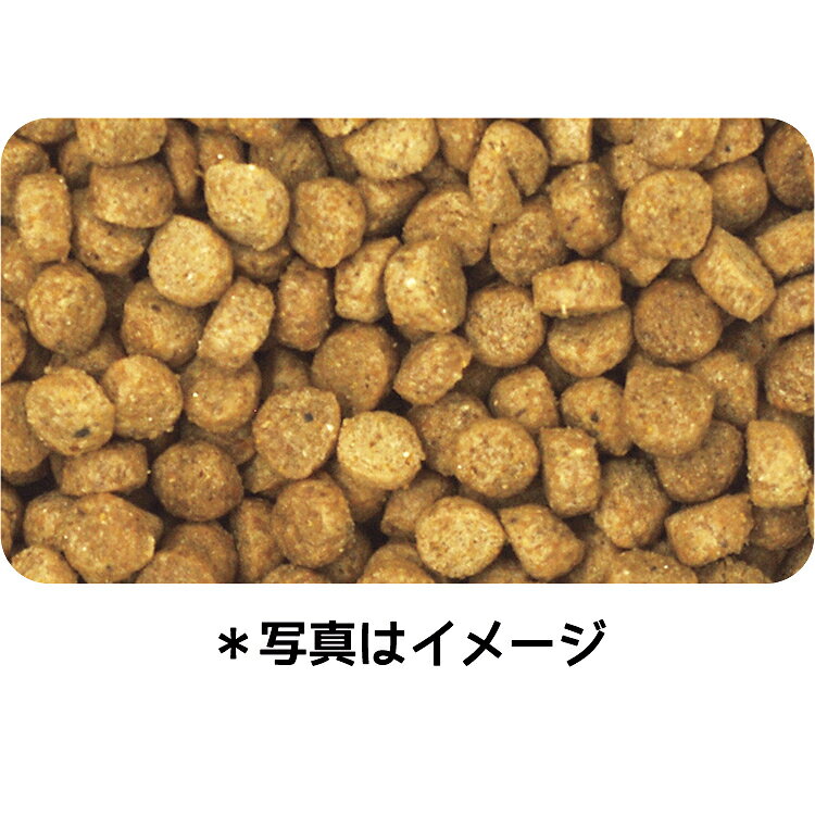 ドッグフード　イースター　ウェルケア　フレンチ・ブルドッグ専用　アダルト〜シニア　5．5kg　関東当日便 chanet3980-10066319 charm 3980 楽天市場店 サンプル画像2