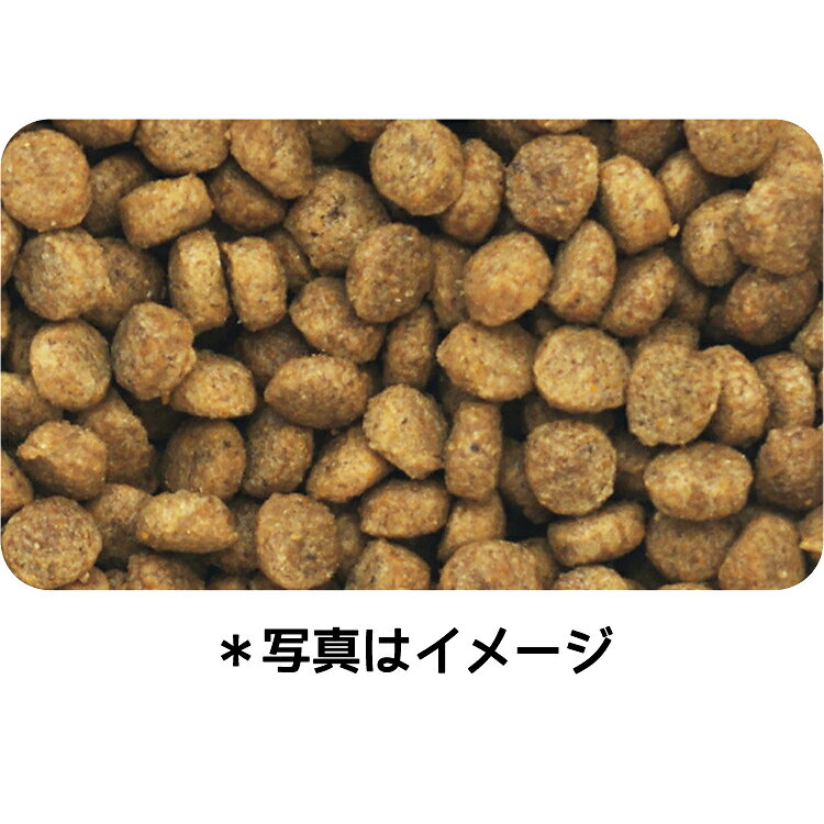 ドッグフード　イースター　ウェルケア　パグ専用　アダルト〜シニア　5．5kg　関東当日便 chanet3980-10075927 charm 3980 楽天市場店 サンプル画像2