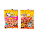 スドー ちょびっとクッキーセット 2種各1袋(10g×2) うさぎ ハムスター おやつ 関東当日便