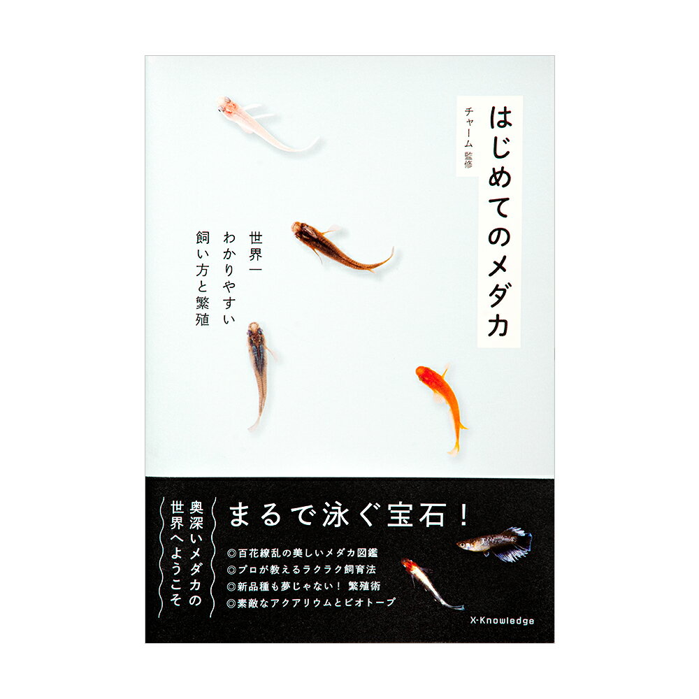 チャーム監修 はじめてのメダカ 書籍 関東当日便
