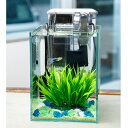 (熱帯魚)飼育セット グッピーセット guy~水~ おまけ付 本州四国限定