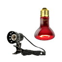 三晃商会 REPTIZOO 赤外線保温バスキングスポットランプ 50W 集光型 E26 爬虫類 ライト 関東当日便