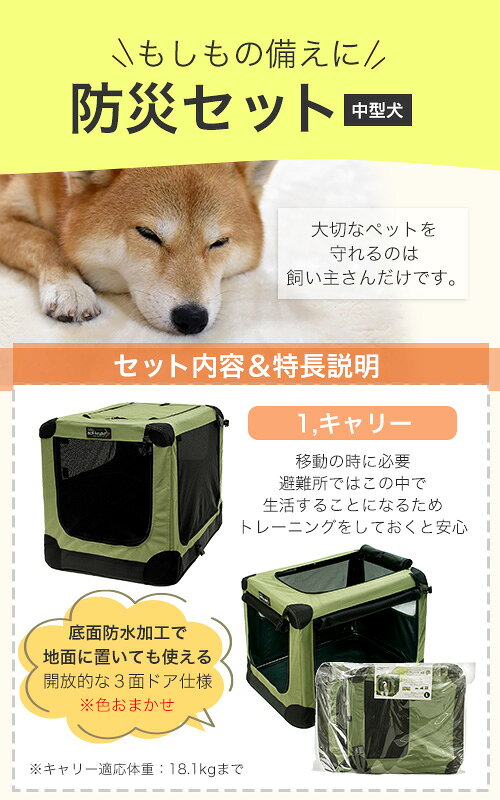サンプル画像2