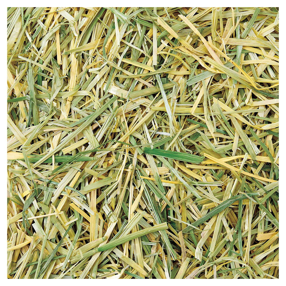 マルカン　バニーグレードオーツヘイ　500g　牧草　小動物　フード　関東当日便