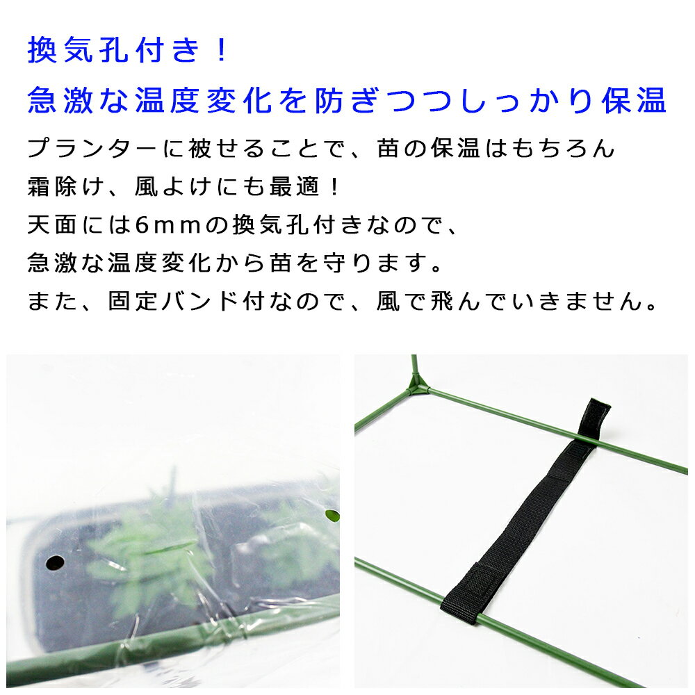 ���äݤ��ݲ����С����硡W75��D40��H60cm������������