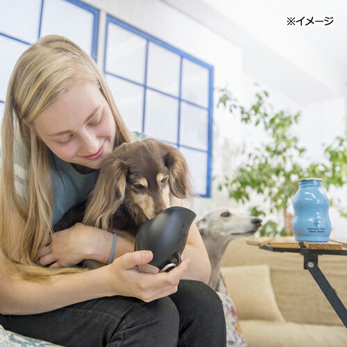 犬　おもちゃ　ループ　ステンレスボトル　S　ブルー　350ml　関東当日便 3