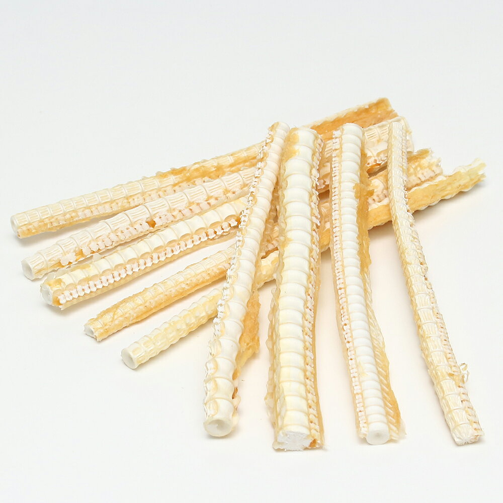 犬　おやつ　ボクボク　サメ軟骨　50g　関東当日便