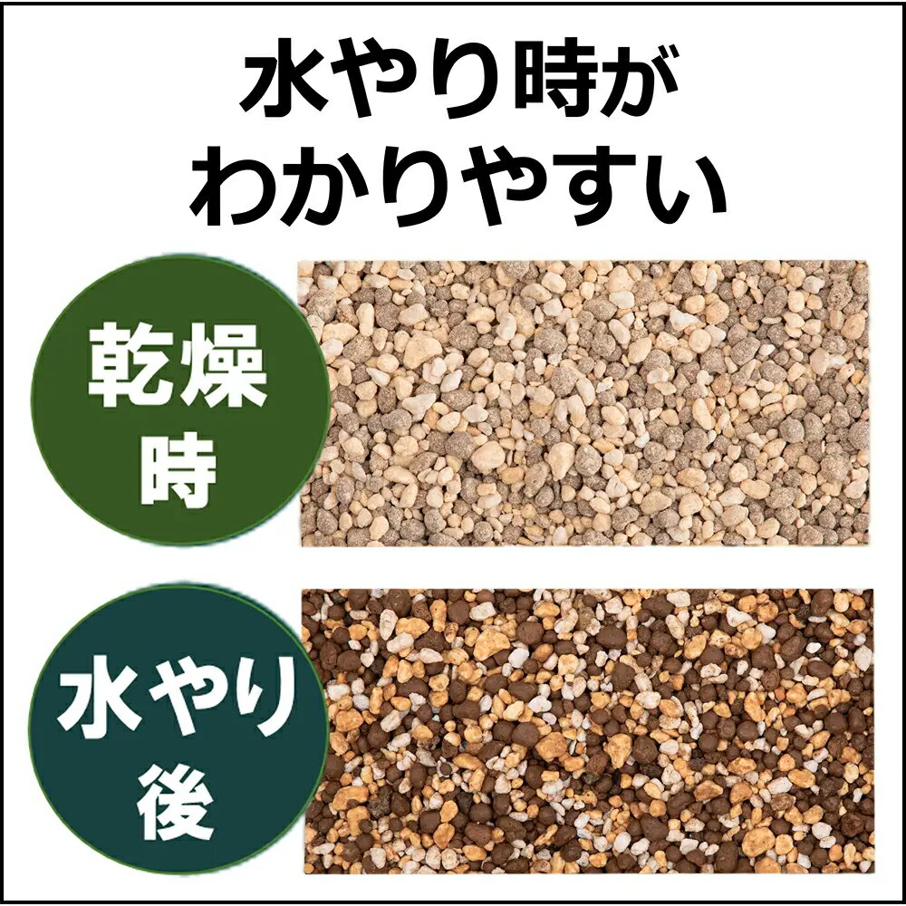 �����ڡ��ץ��ȥ꡼�ա�����������ա�¿�����ڡ�3��5L��3�����Х��к�������������