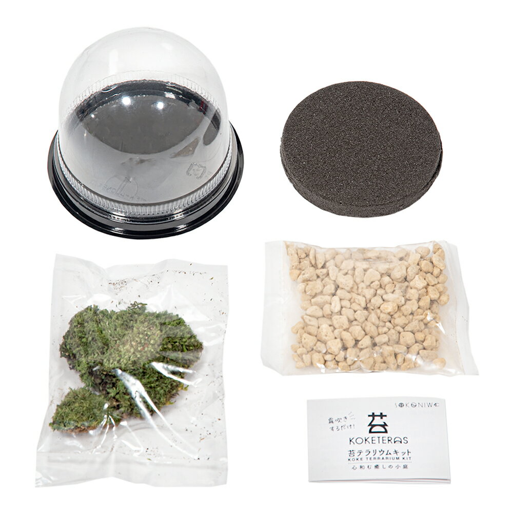 �������˥�����ƥ饹���ݥƥ�ꥦ�७�åȡ�����������