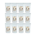 フェレットフード 国産 フェレットの食事プレミアム ピーナッツ & ハニー 1.2kg×12 関東当日便