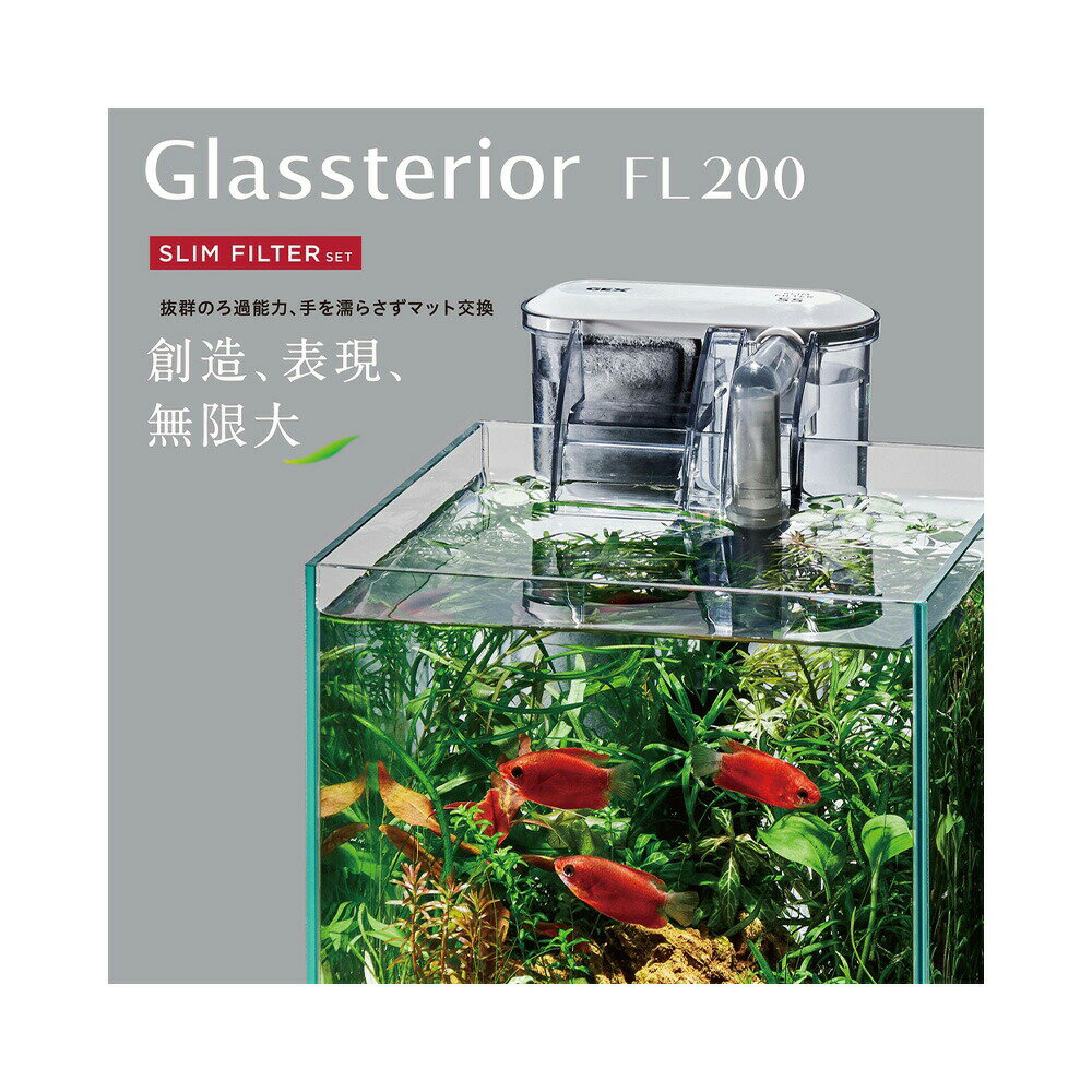 GEX�����饹���塡���饹�ƥꥢFL200�������ե��륿�����åȡ�USB�����ץ����ա�20��20��25cm���������塡����������