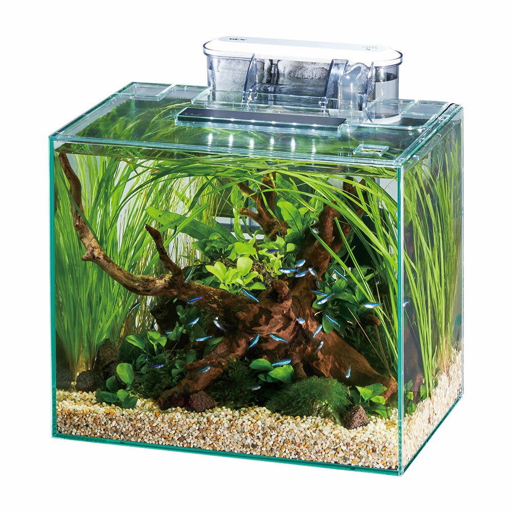 GEX�����饹���塡���饹�ƥꥢFL300�������ե��륿�����åȡ�USB�����ץ����ա�30��20��25cm���������塡����������